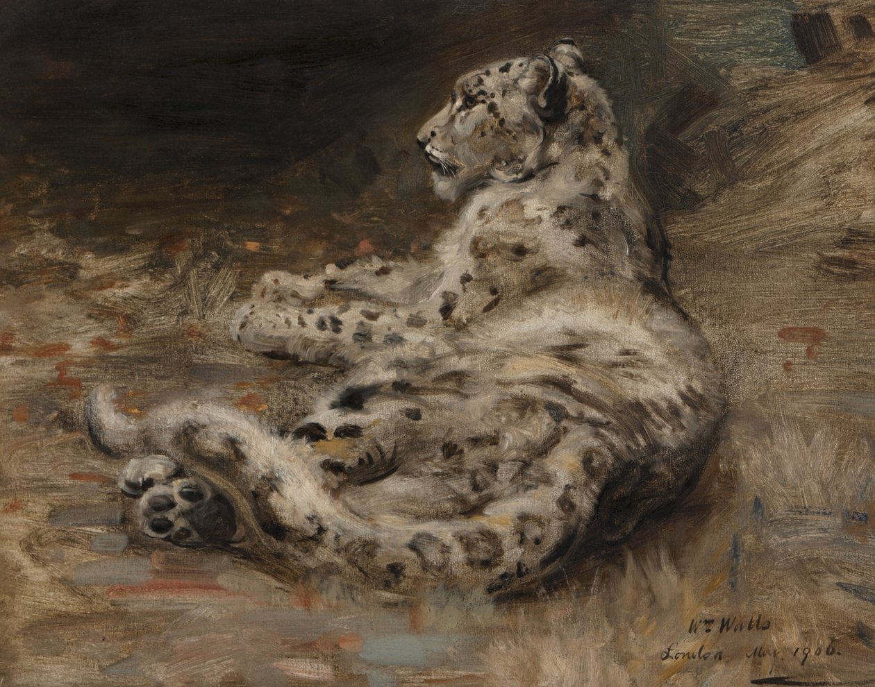 Bir Leopar, 1906 by William Walls