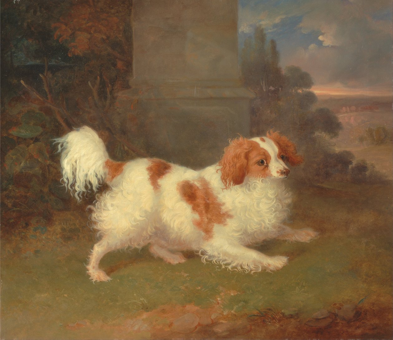 Bir Blenheim Spaniel by William Webb