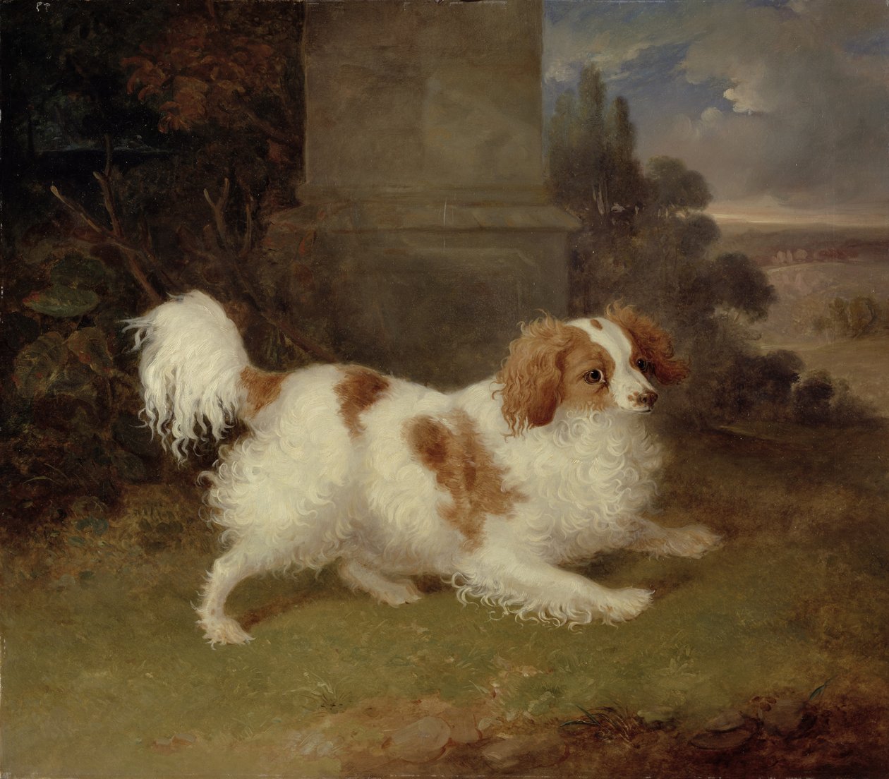 Bir Blenheim Spaniel, c.1820-30 by William Webb