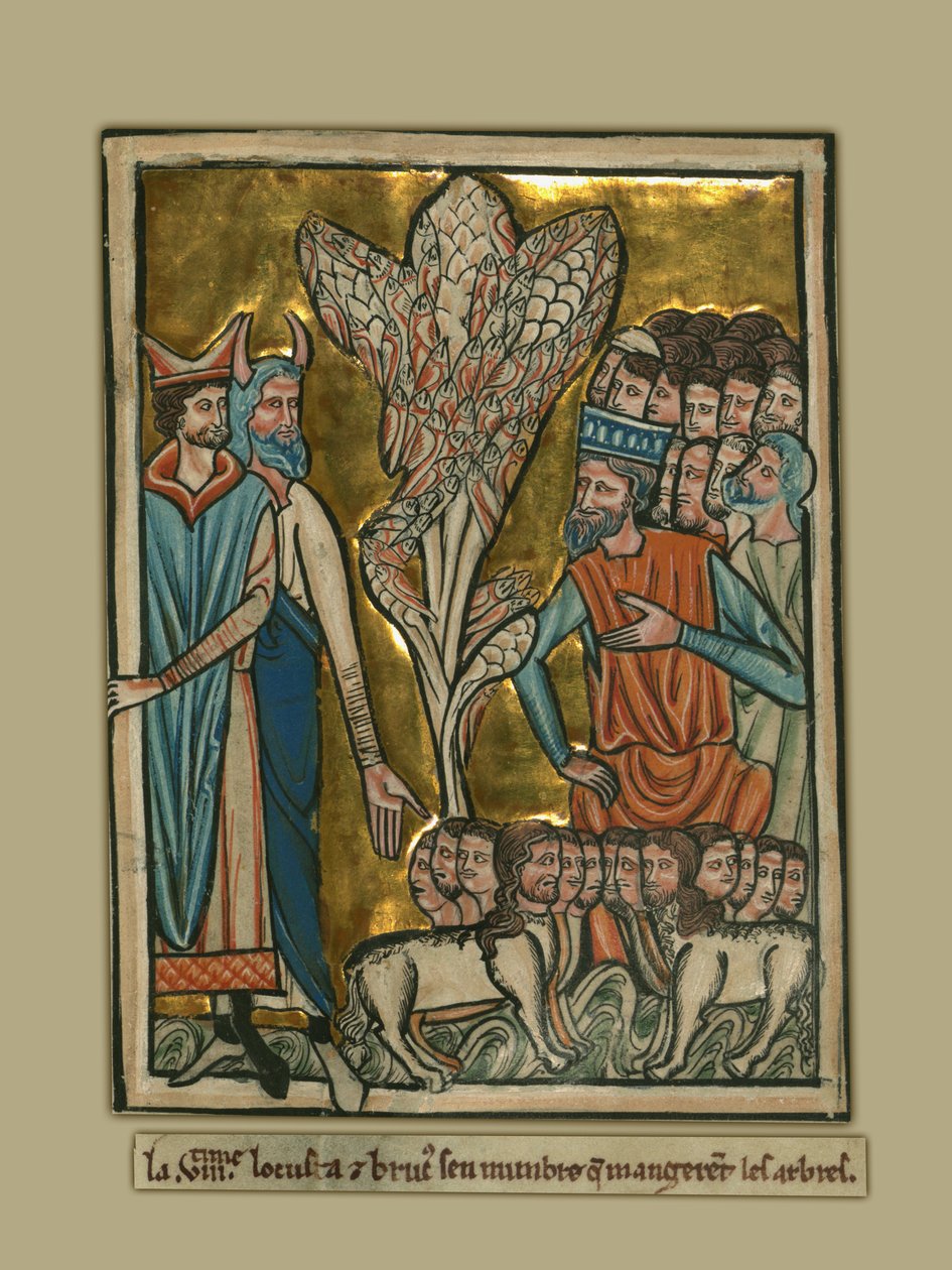 Sekizinci Veba: Çekirgeler by William de Brailes  