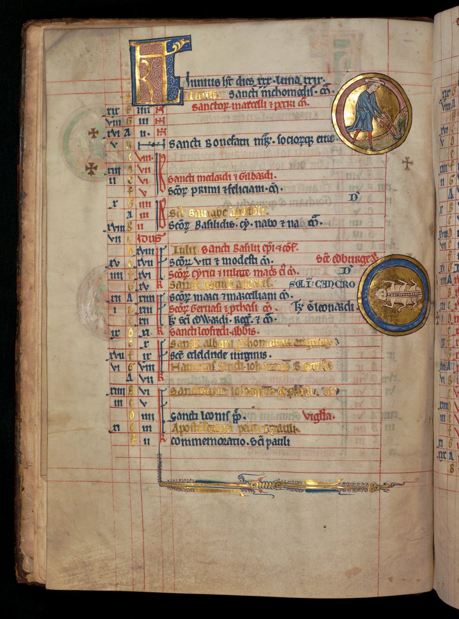 Ms 322 f.3v, June, ayıklayan bir adam, 
