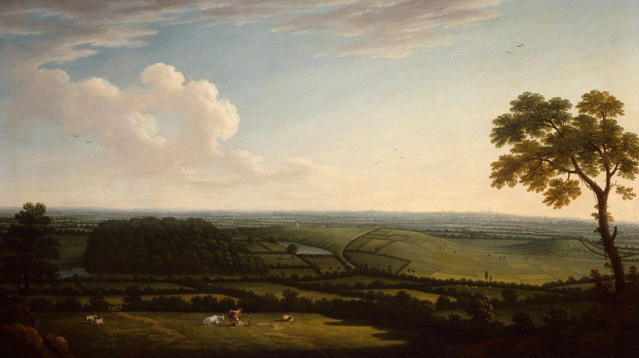 Bir Kasabanın Uzak Manzaralı Geniş Ormanlık Manzarası (petrol) by Joseph Mallord William Turner
