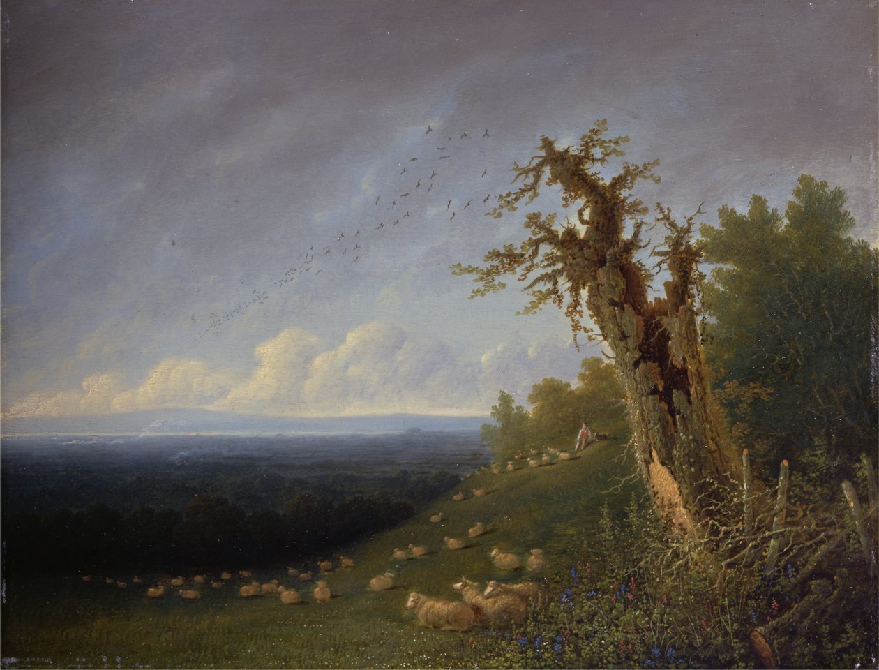 Bir Yamaçta Çoban Çocuk (panelde yağ) by Joseph Mallord William Turner