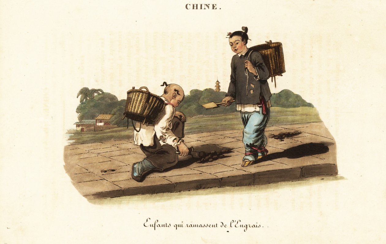 Çinli çocuklar at gübresi topluyor by William (after) Alexander