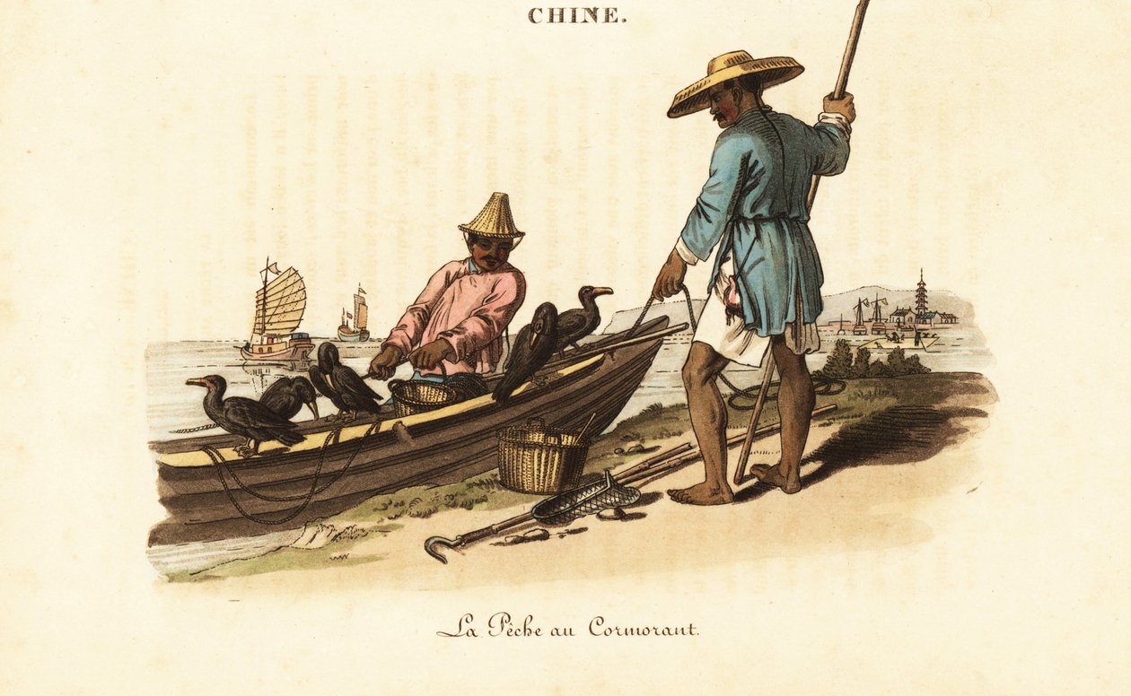 Çinli balıkçılar ve karabatakları by William (after) Alexander