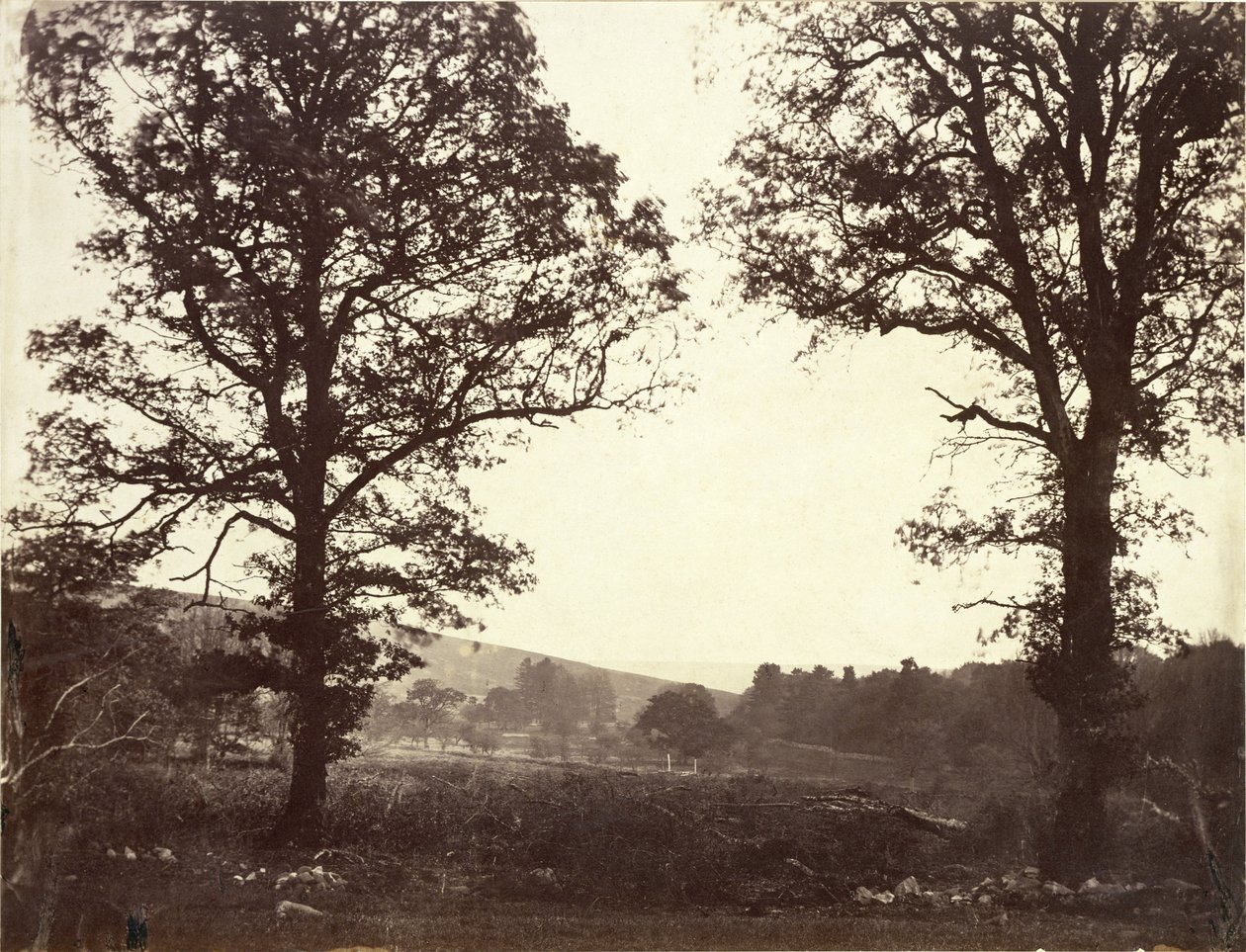 Karaağaç, Ashdown, Büyük Britanya ile manzara by William 2nd Earl of Craven