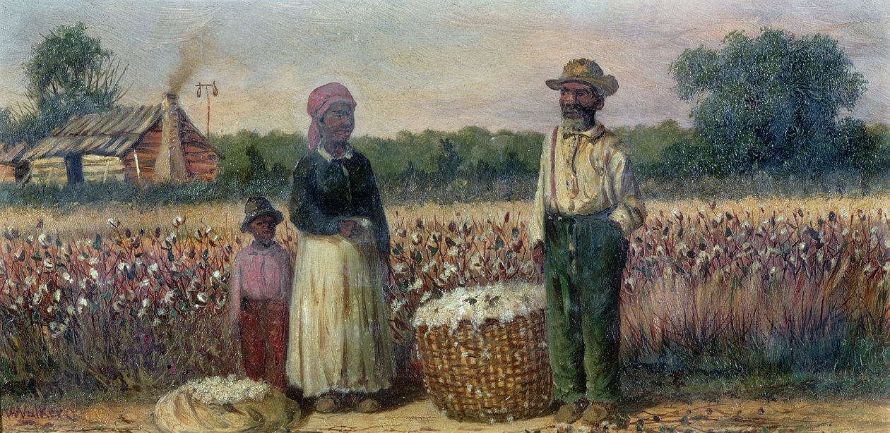 Güney Amerika