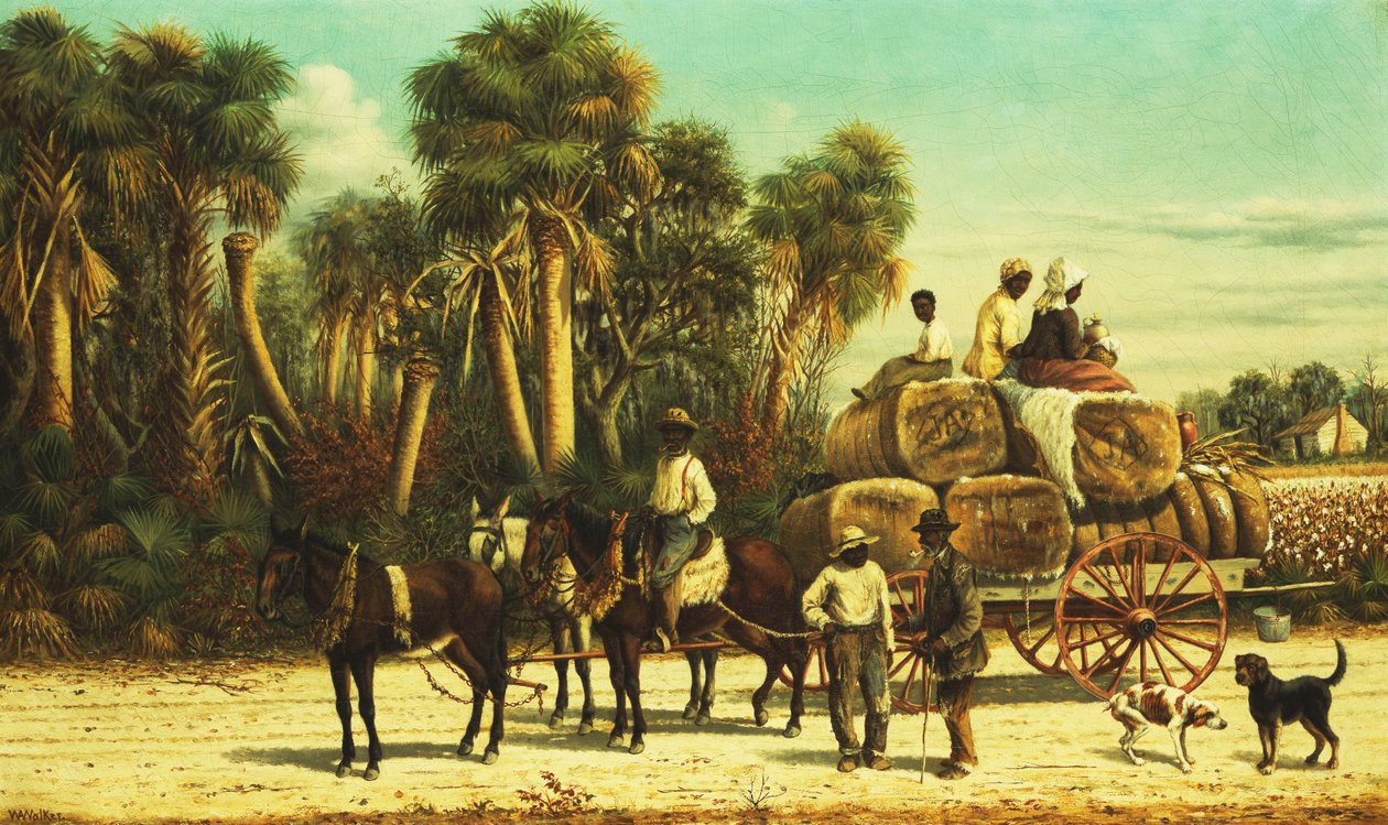 pamuk vagonu, by William Aiken Walker