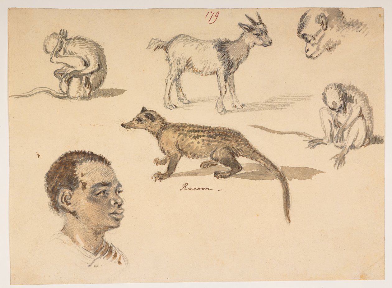 f.65 179 Lord Macartney