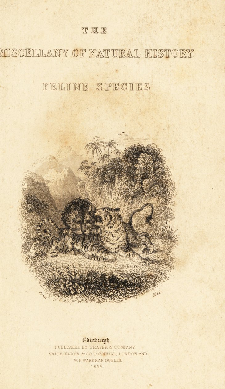 Bir kaplana saldıran bir aslan skeç içeren başlık sayfası. ,1834 (gravür) by William Alexander Forbes