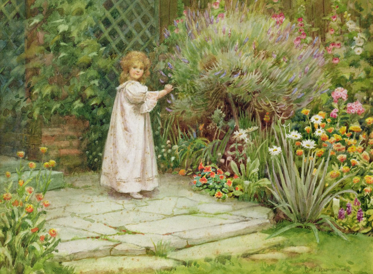 Benim bahçem by William Ashburner