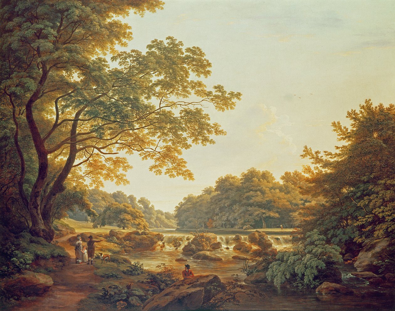 Charleville Ormanı, County Offaly, 1801