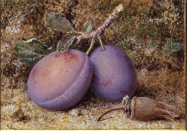 Erik ve bir koçan somunu by William B. Hough