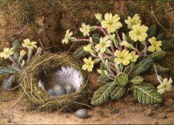 Yuvadaki Yumurtaların Natürmortu ve Primroses by William B. Hough