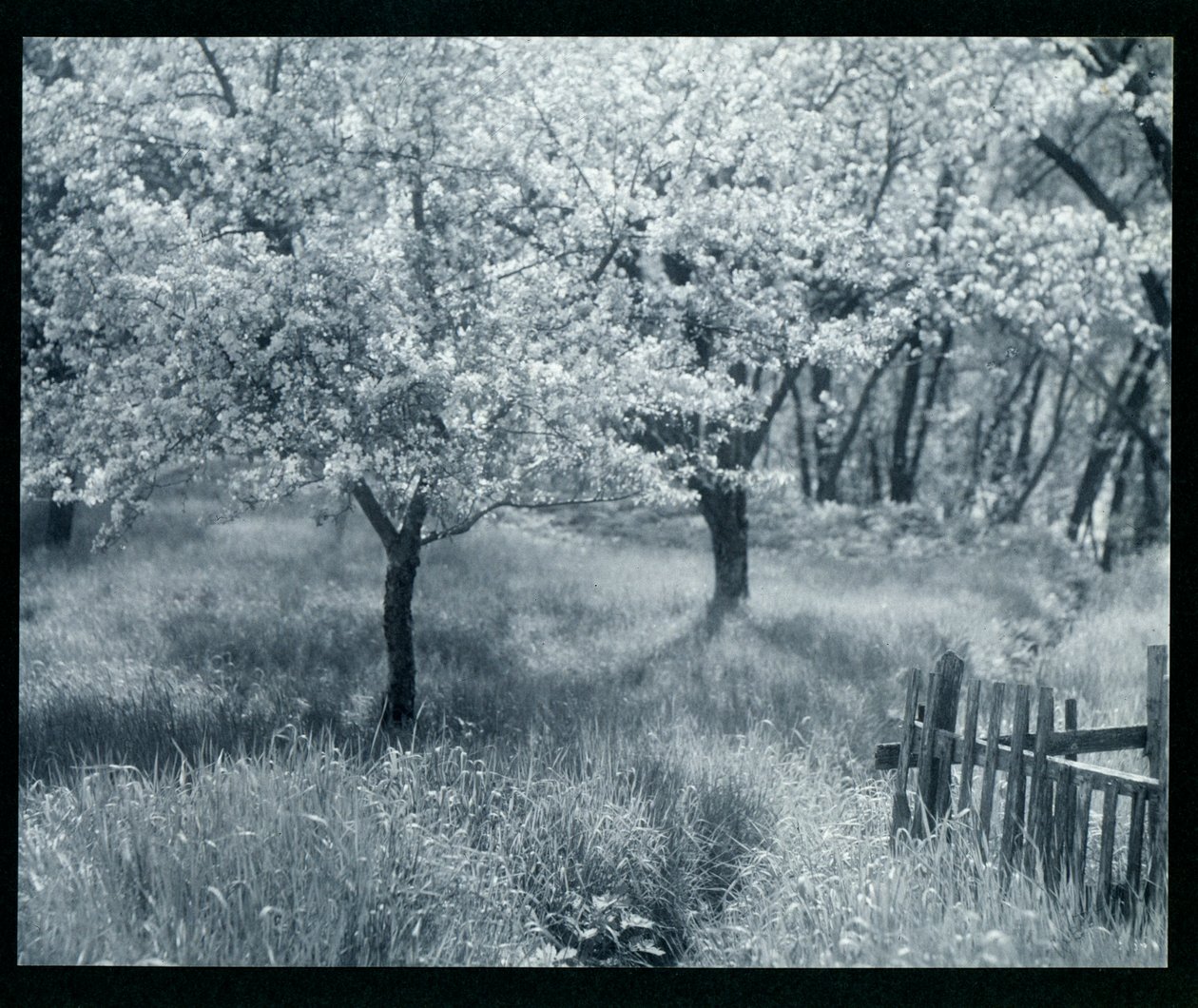  by William B. Post