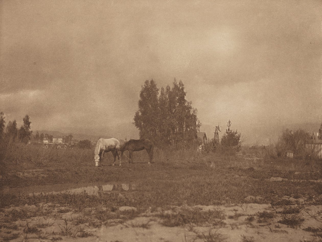 Pasadena Manzarası by William B. Post