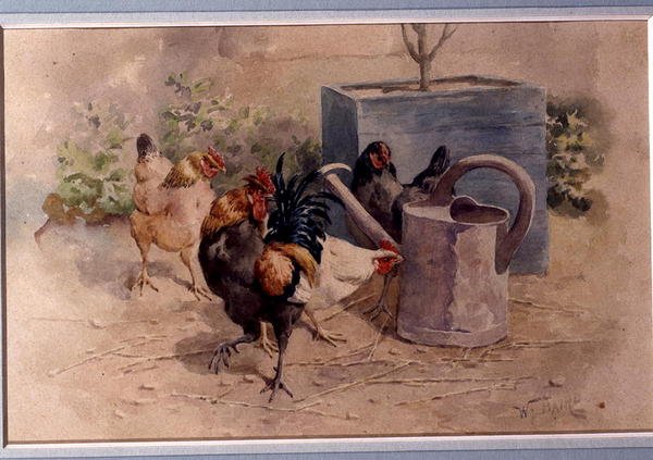 Sulama Tenekesinde Tavuklar (kağıt üzerine gövde rengi ile sulu boya) by William Baptiste Baird