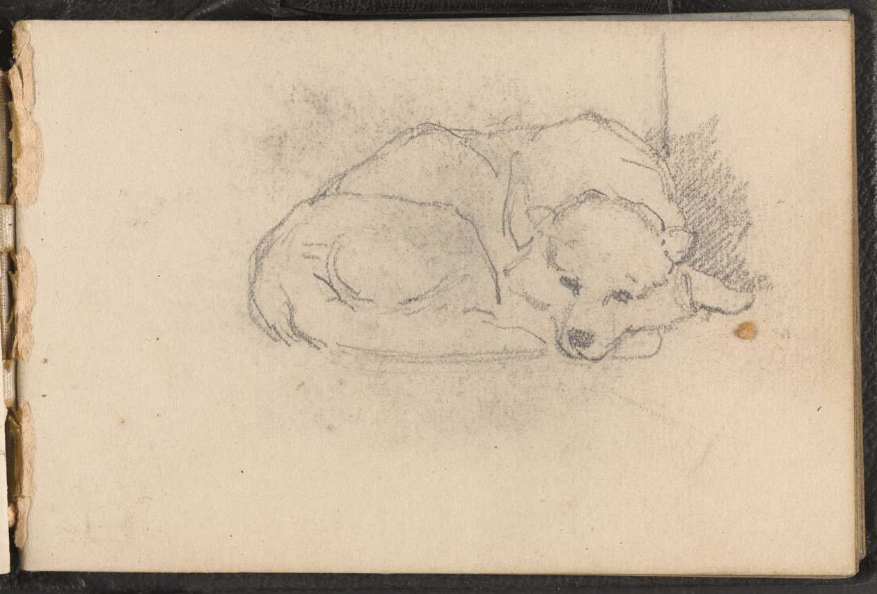Uyuyan bir köpeğin taslağı, 1879 dolaylarında by William Barnes Wollen