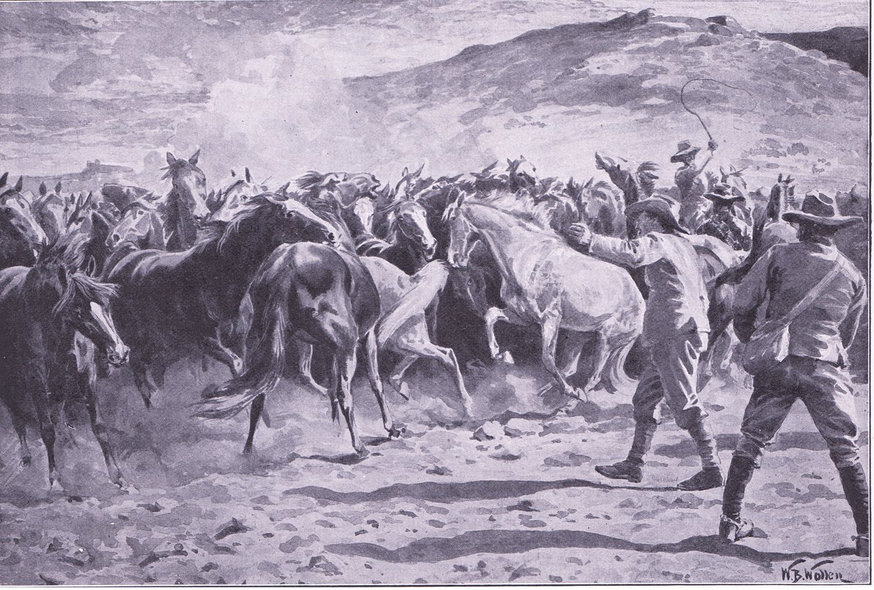 Fouriesburg yakınlarındaki Brandwater bölgesinde atların ele geçirilmesi: sürüyü toplama, Pretoria Sonrası: Gerilla Savaşı, 1902