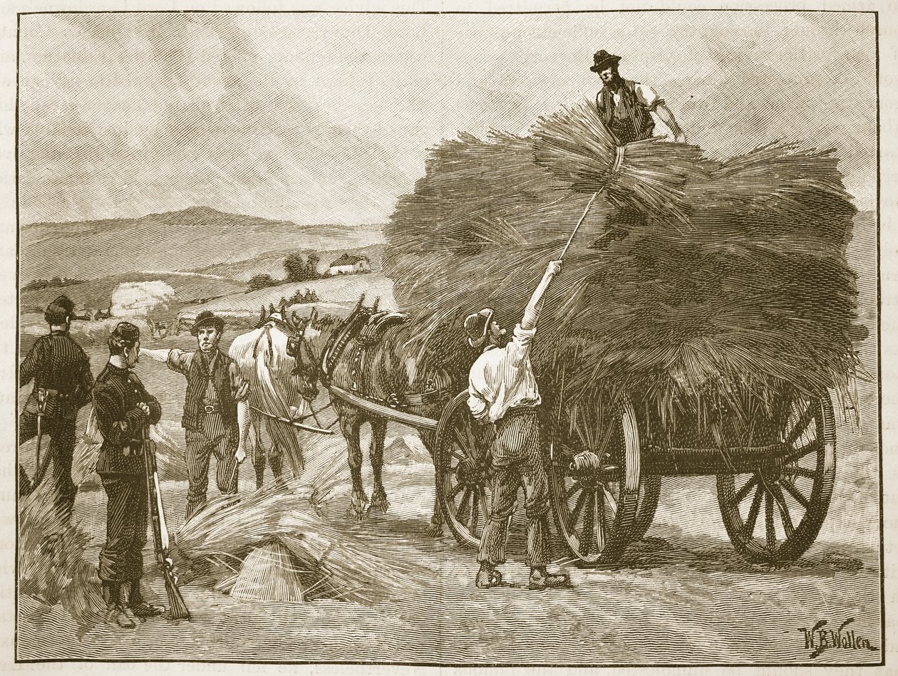 Kaptan Boykot'un ekinlerinin kurtarılması, 'Cassell'in Illustrated History of England' gravüründen bir illüstrasyon (sepya fotoğraf) by William Barnes Wollen