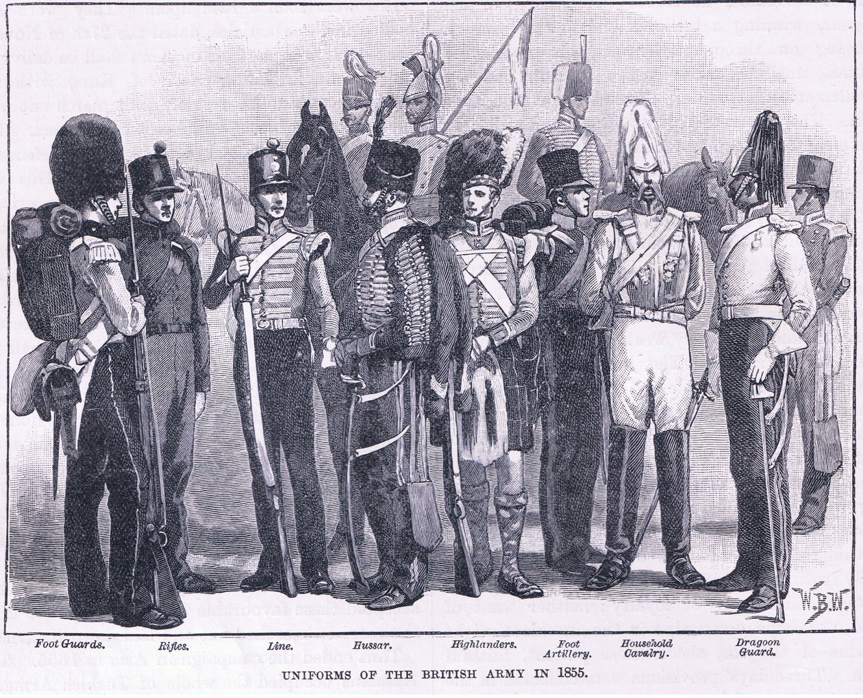 MS 1855