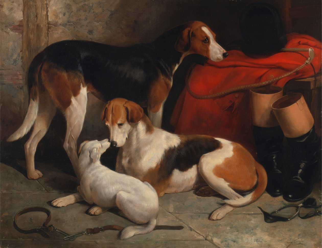 Lord Henry Bentinck'in mülkü olan Teriyerli Bir Çift Tilki Tazısı by William Barraud