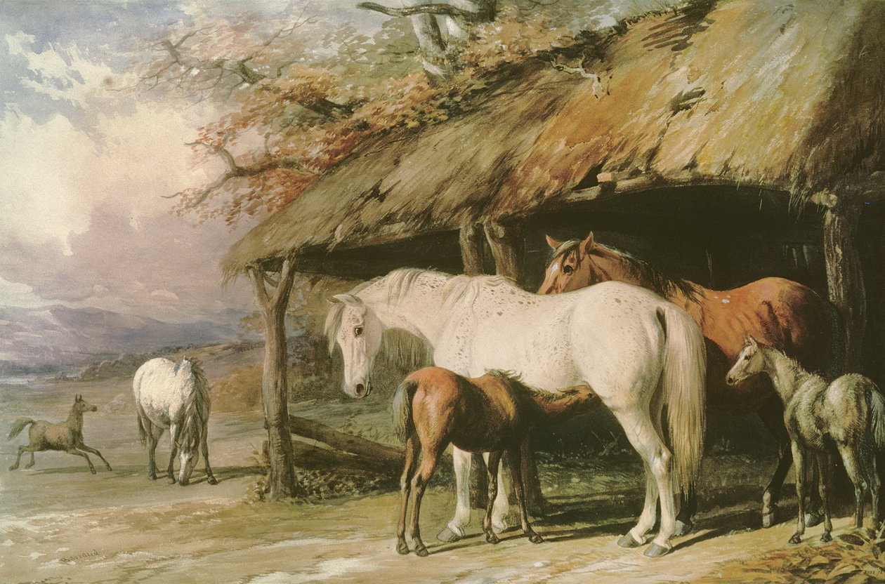 Kısraklar ve Taylar, 19. yüzyıl by William Barraud