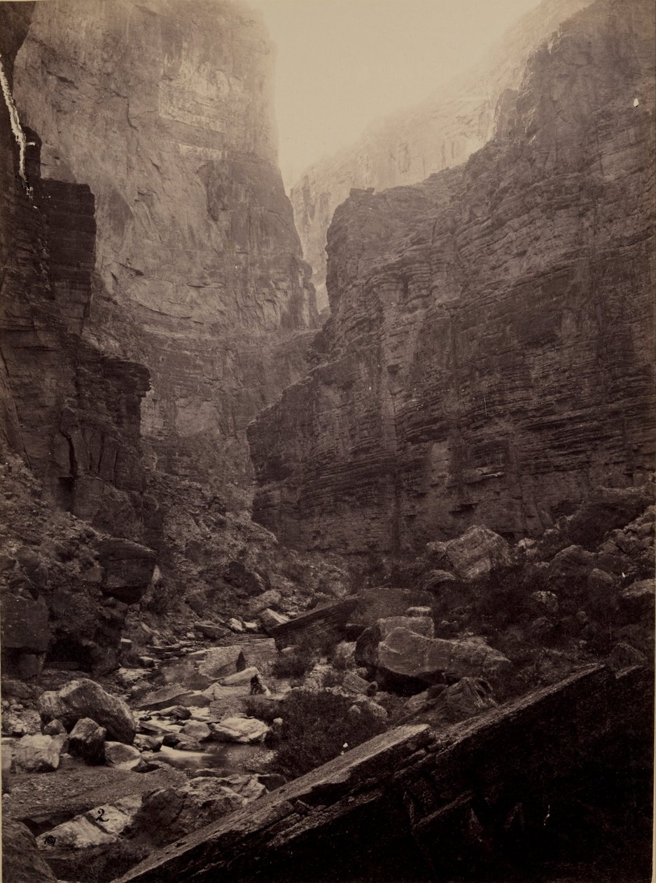 Kanab Yıkama Canon, Colorado Nehri, Kuzeye Bakmak by William Bell