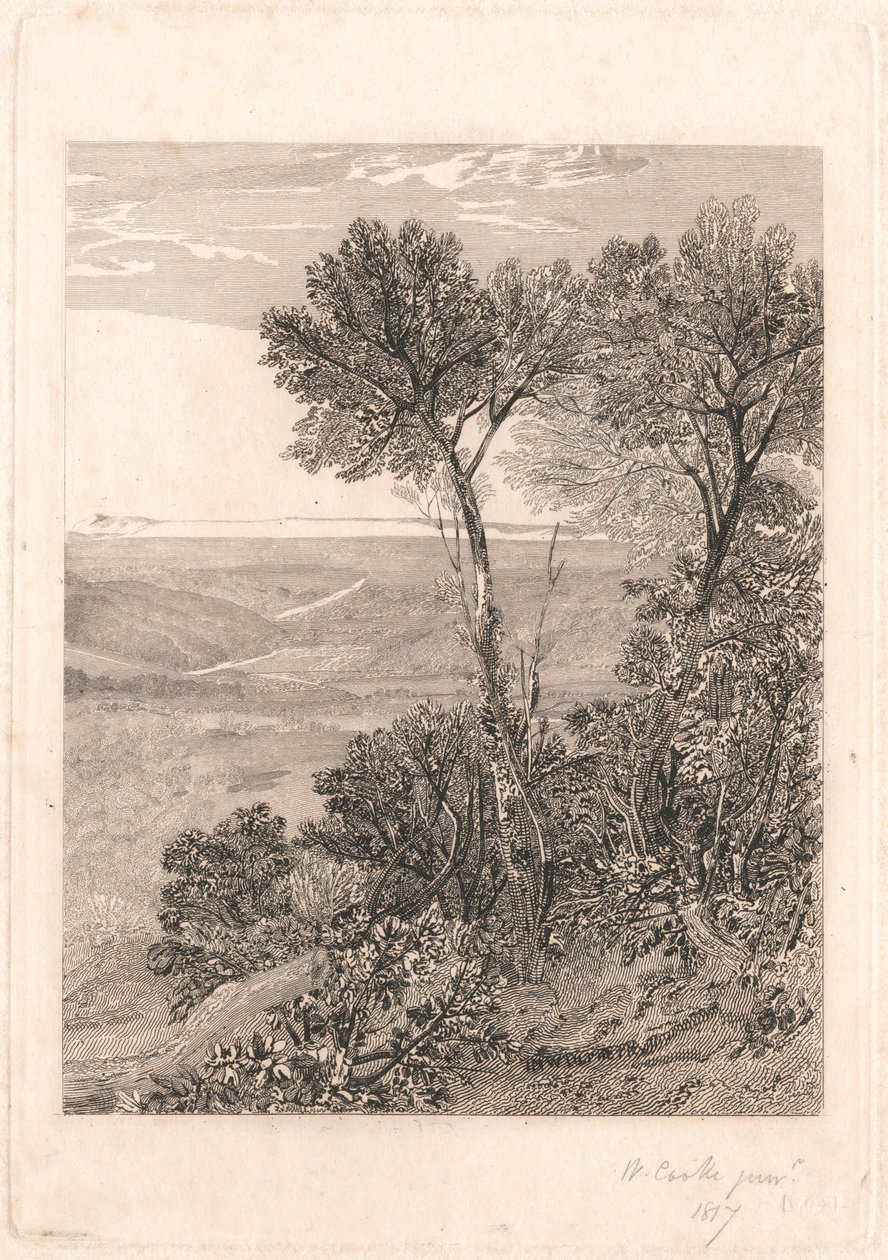 Ashburnham Vadisi, Sağ Yarının Bir Kopyası by William Bernard Cooke