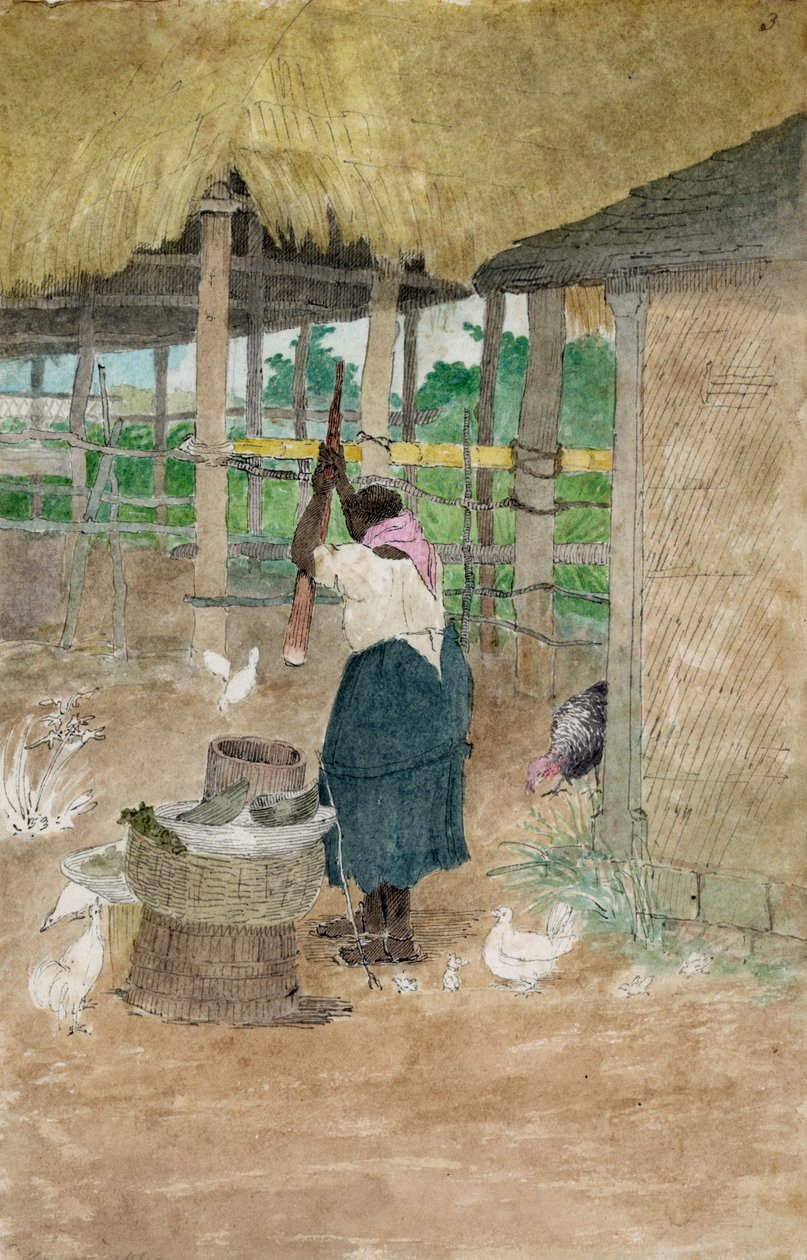 Manyok döven kadın, Jamaika by William Berryman