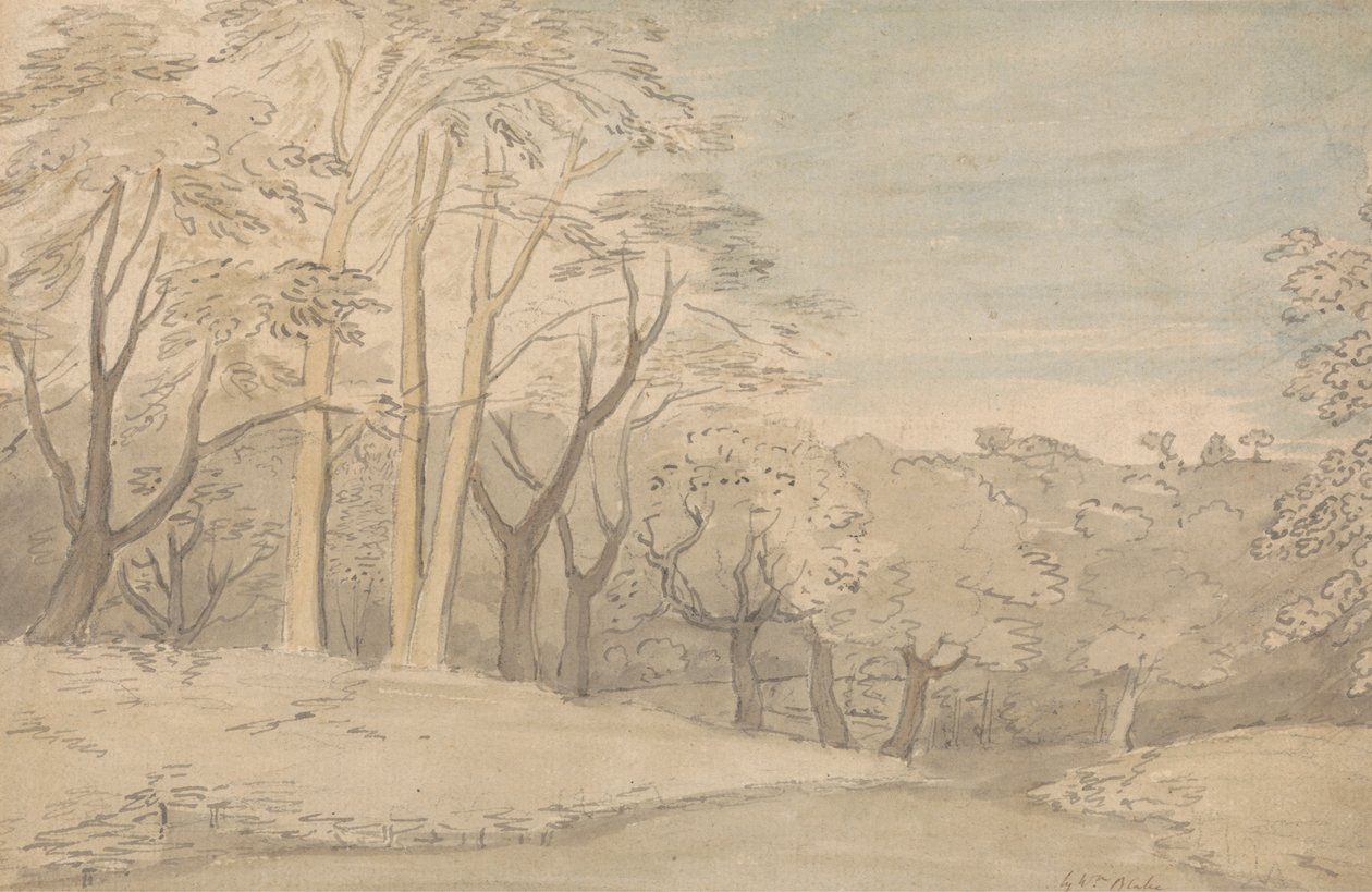 Ormanlık Bir Manzara by William Blake