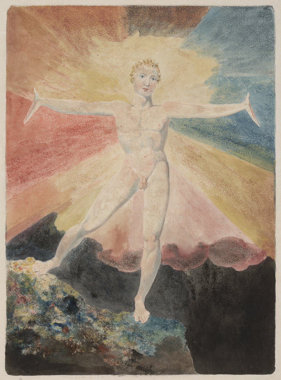 Albion Gülü by William Blake