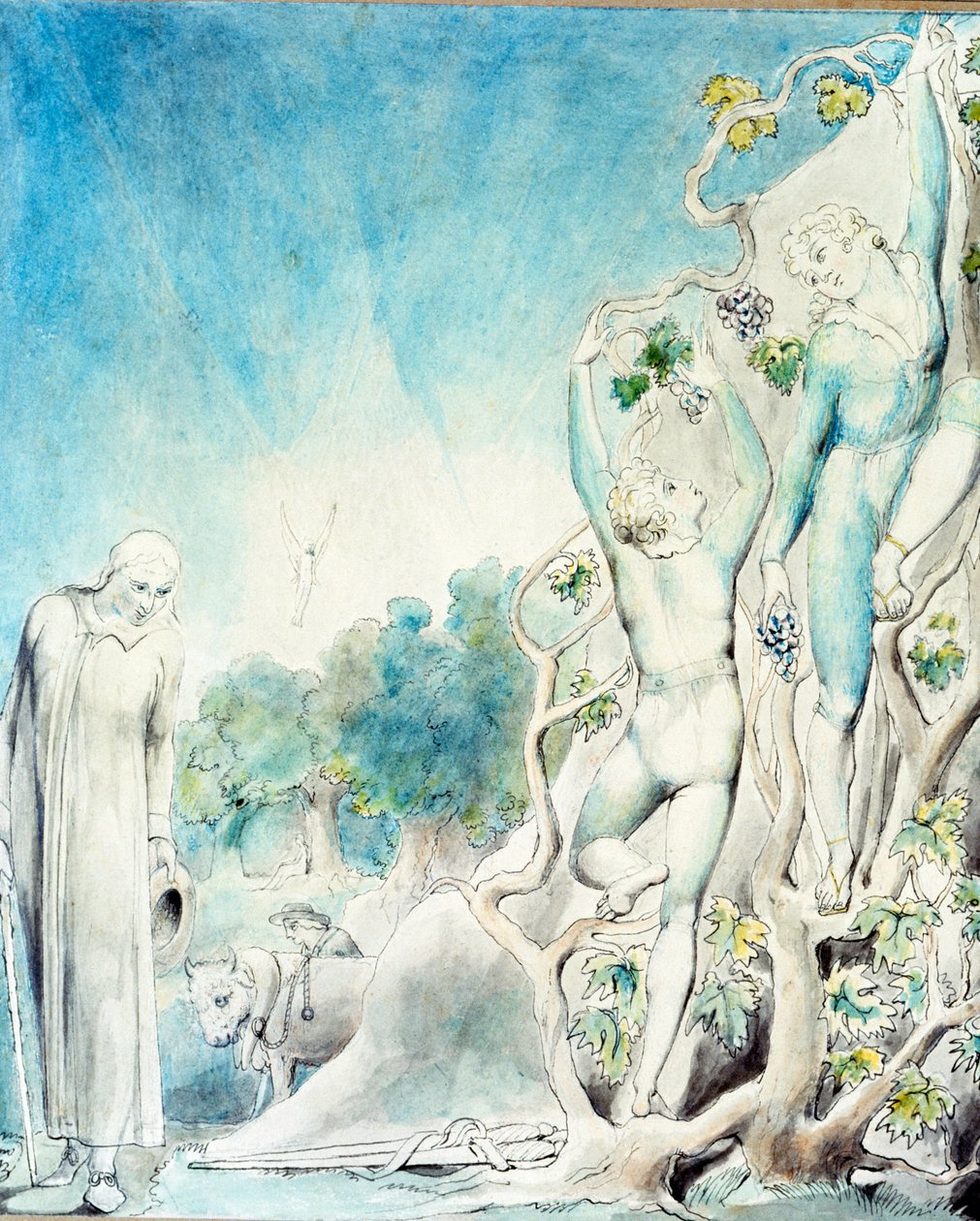 Comus, Leydi