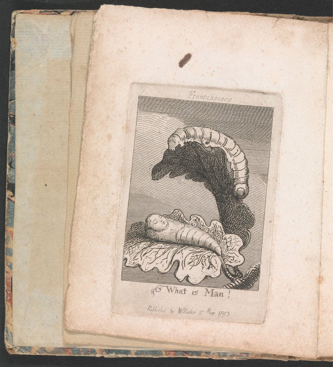 Çocuklar için. Cennetin Kapıları, Levha 1, Cephe, İnsan Nedir! by William Blake