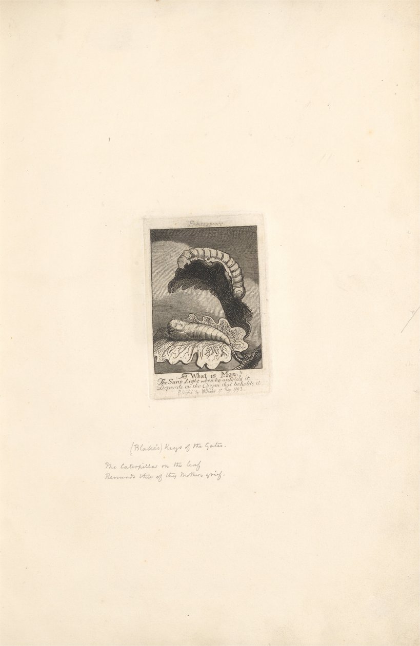 Cinsiyetler İçin - Cennetin Kapıları, Levha 1, Başlık Sayfası by William Blake
