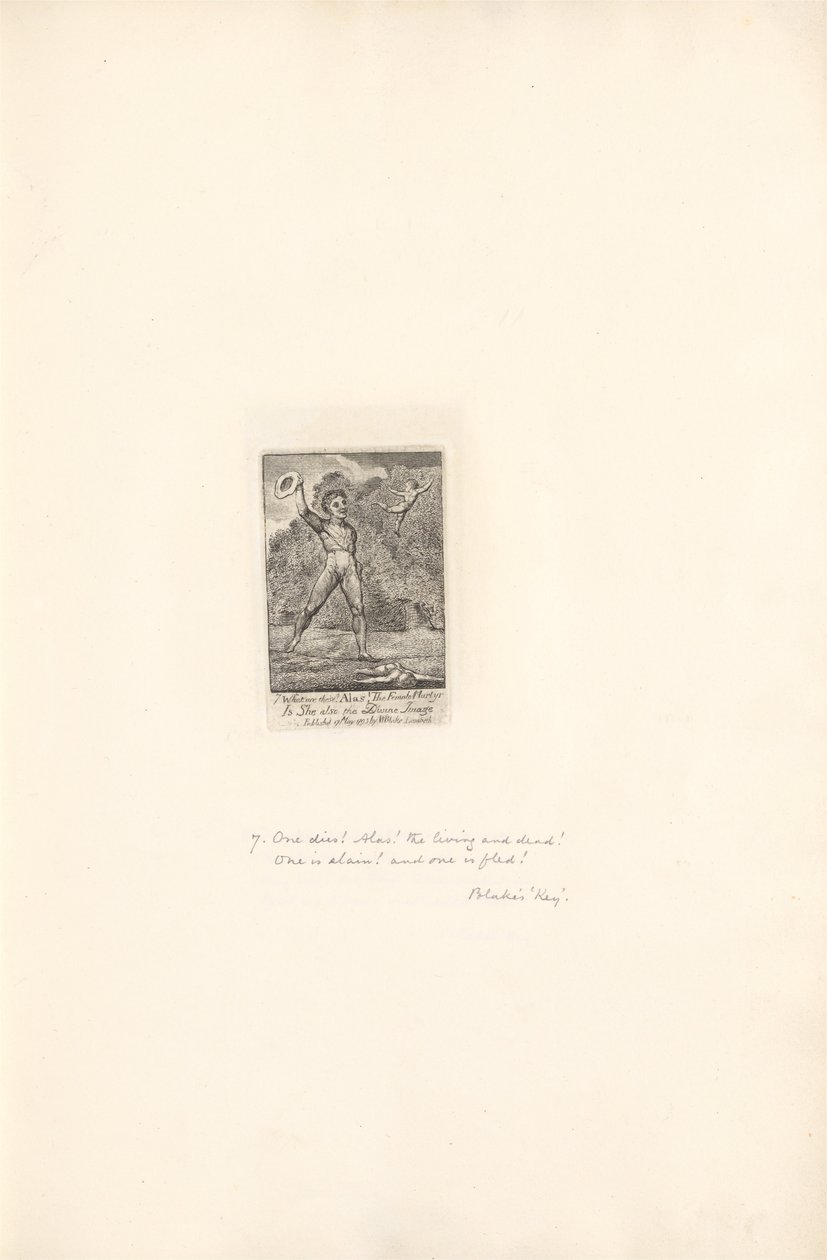 Cinsiyetler İçin - Cennetin Kapıları, Plaka 9, Ne yazık ki! by William Blake