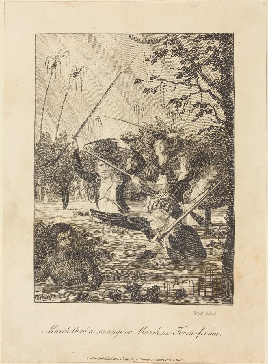 Terra-firma, 1793