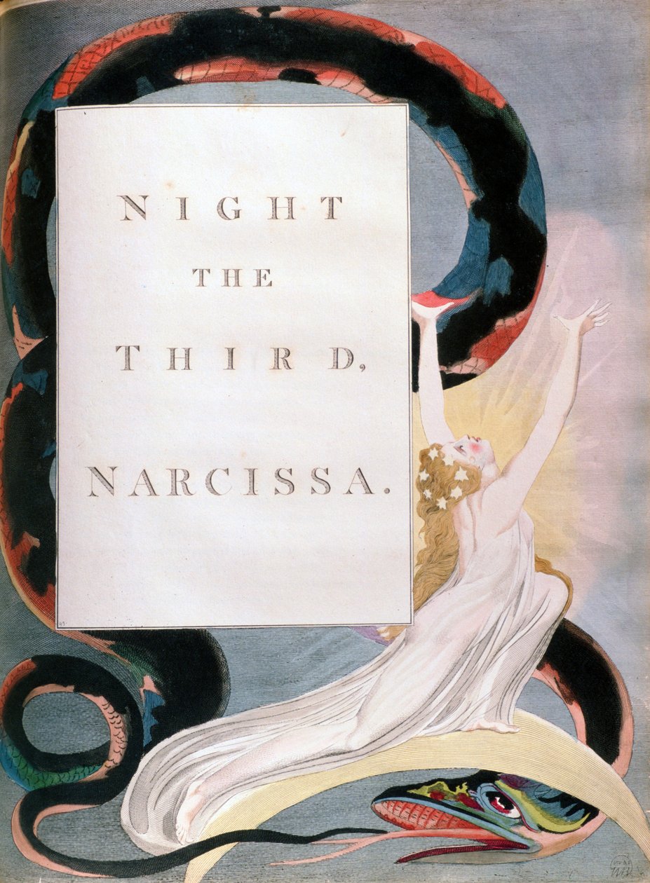 Üçüncü Narcissa Gecesi, Edward Youngs Nights of Night Thoughts