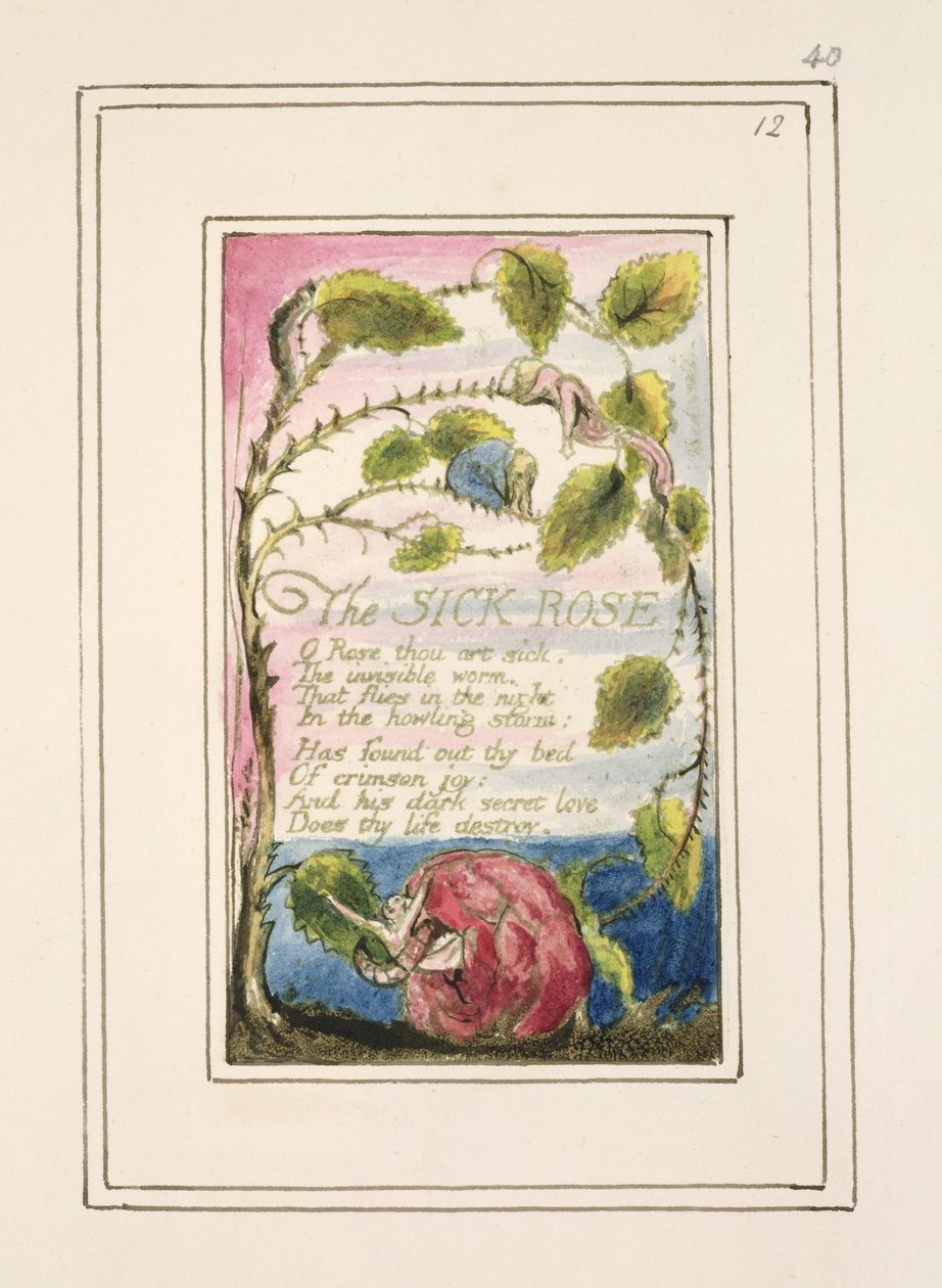 S.124-1950.pt40 Hasta Gül: 'Masumiyet ve Deneyim Şarkıları'ndan 40 numaralı plaka (kopya R) c.1802-08 (gravür, mürekkep ve wc) by William Blake