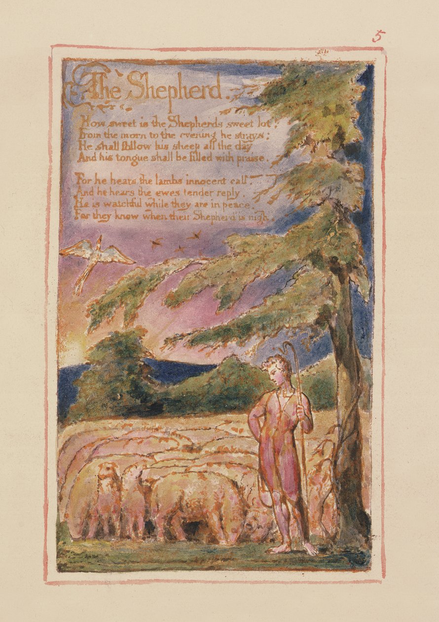 P.125.1950.pt5 The Shepherd: Songs of Innocence and of Experience (Masumiyet ve Tecrübe Şarkıları)