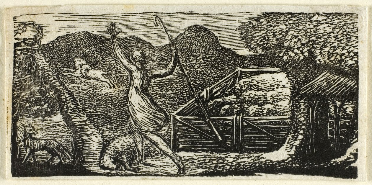 The Pastorals of Virgil