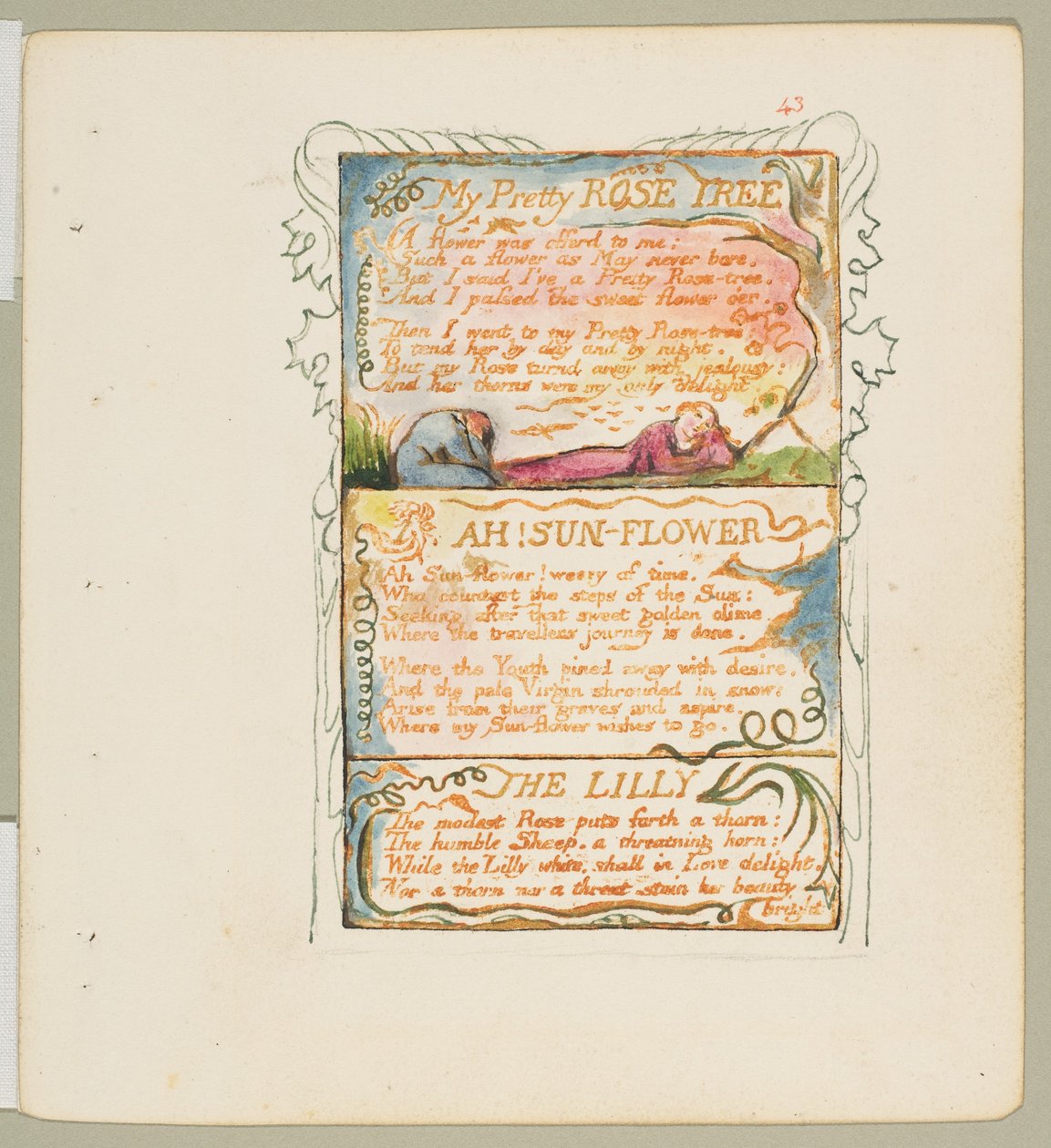 Masumiyet ve Tecrübe Şarkıları: Benim Güzel Gül Ağacım, Ah! Ay Çiçeği, Zambak, ca. 1825. by William Blake