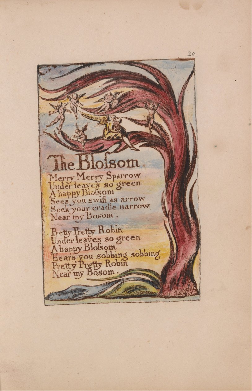 Masumiyet ve Deneyim Şarkıları, Plate 20, The Blossom (Bentley 11) by William Blake