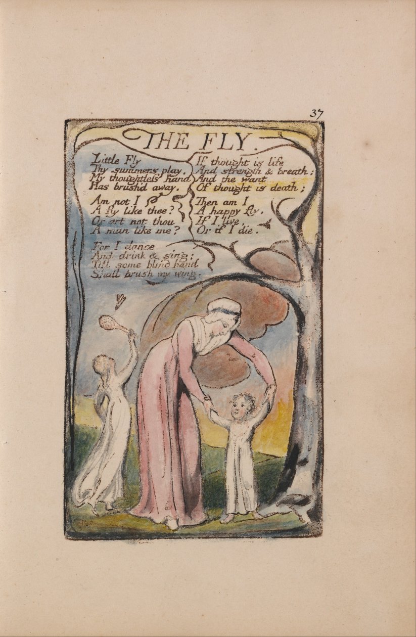 Masumiyet ve Tecrübe Şarkıları, Levha 37, The Fly (Bentley 40) by William Blake