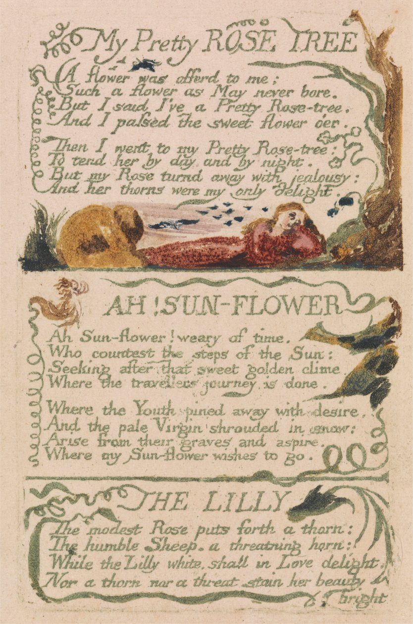 Masumiyet ve Deneyim Şarkıları, Plaka 47, "Benim Güzel Gül Ağacım" (Bentley 43) by William Blake