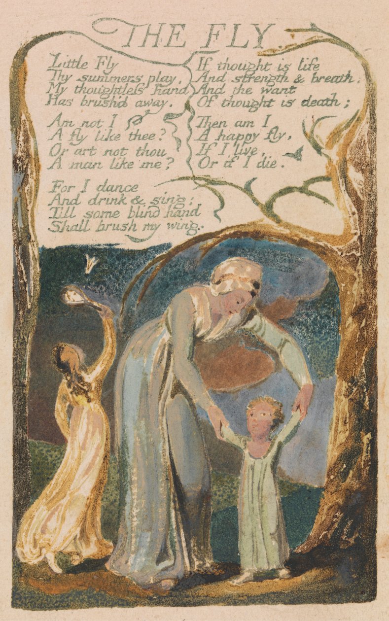 Masumiyet ve Deneyim Şarkıları, Plate 48, "The Fly" (Bentley 40) by William Blake