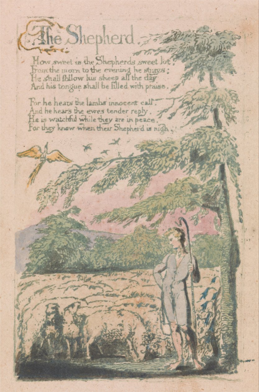 Masumiyet ve Tecrübe Şarkıları, Plaka 4, Çoban (Bentley 5) by William Blake