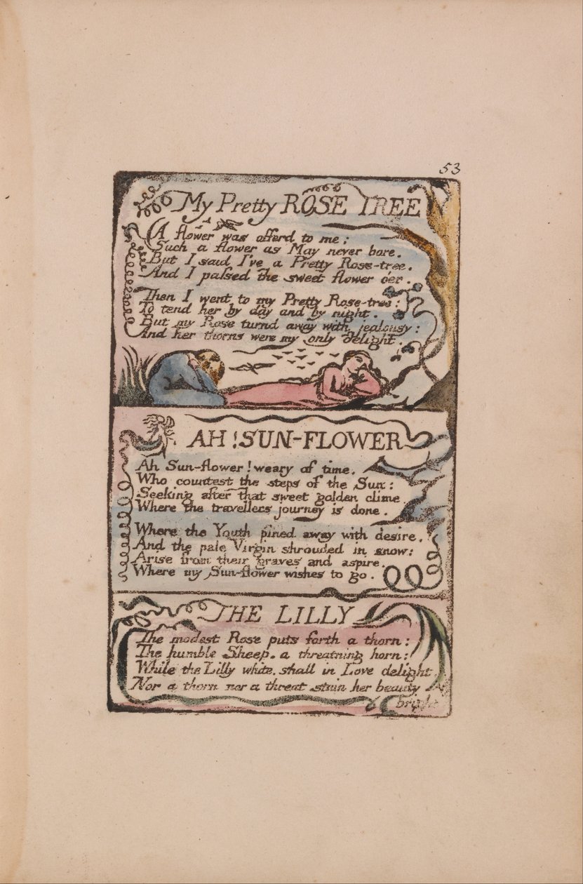 Masumiyet ve Tecrübe Şarkıları, Plaka 53, Benim Güzel Gül Ağacım, Ah! Ay Çiçeği, Lilly by William Blake