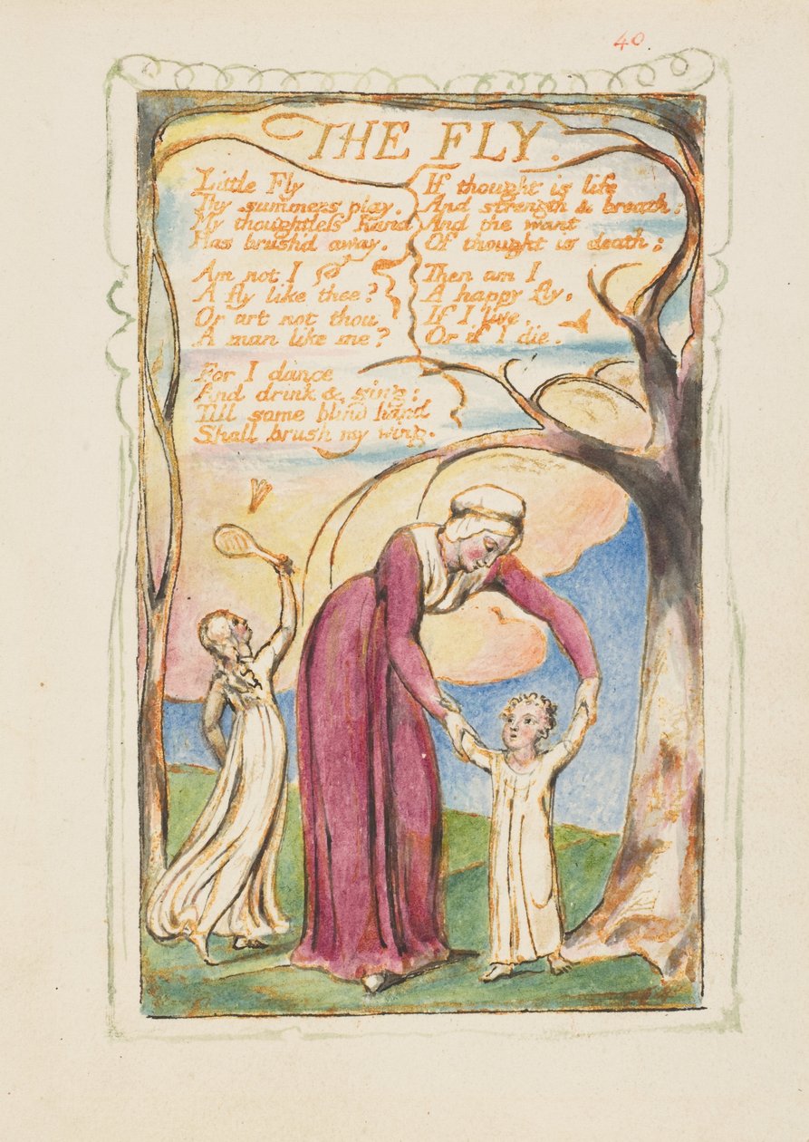 Masumiyet ve Tecrübe Şarkıları: The Fly, yak. 1825. by William Blake