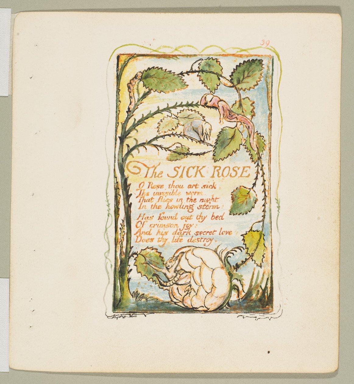 Masumiyet ve Deneyim Şarkıları: Hasta Gül, yaklaşık. 1825. by William Blake